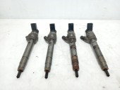 Injector BMW 520 F10 2.0 D 781070202 2011-2016