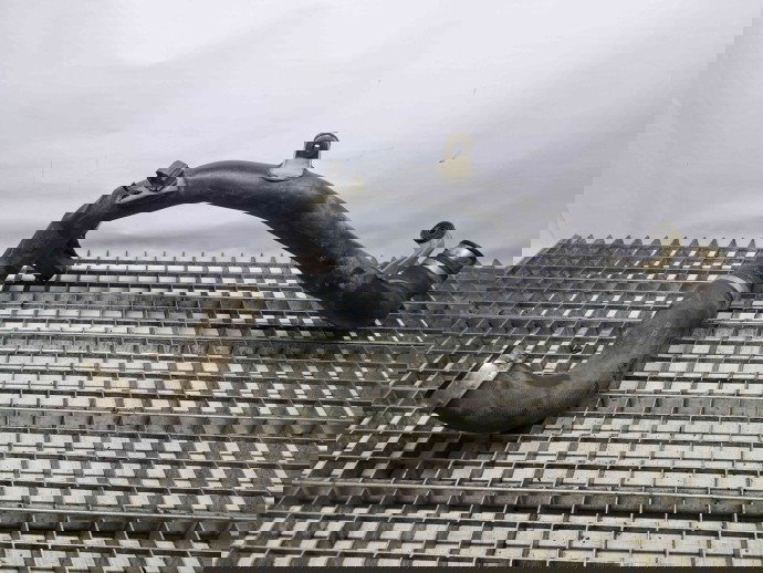 Tub intercooler Audi A3 Sportback (8PA) [Fabr 2004-2013] 3C0145840H 1.9 TDI BLS  