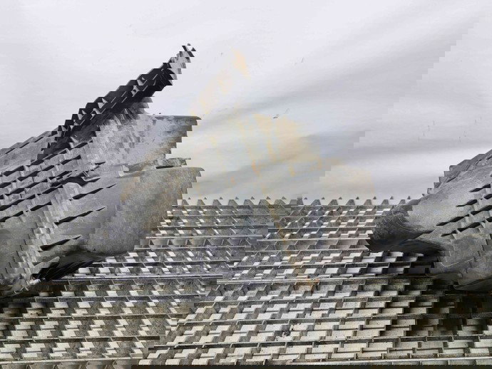 Carcasa filtru aer Ford Focus 2 (DA) [Fabr 2004-2012] 3M51-9600-SH 1.6 TDCI  DV6  