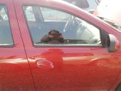 Usa dreapta fataDacia Logan 1.2 D4F RETP01 2012