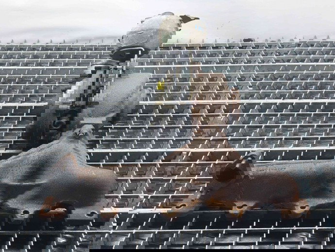 Turbina Ford Mondeo 4 [Fabr 2007-2015] 9662464980 2.0 TDCI  