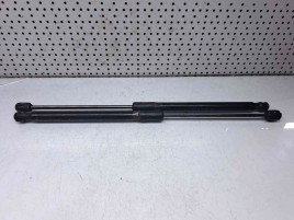 Set amortizor haion Renault Megane 3 Combi [Fabr 2008-2015] 844300009R