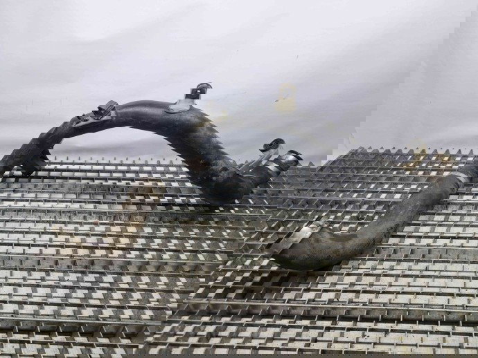 Tub intercooler 3C0145840H, Audi A3 (8P1) 1.9tdi, BLS