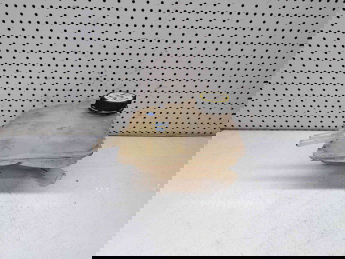 Vas expansiune, 3M5H-8K218-AH, Ford Focus 2