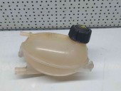 Vas expansiune Renault Clio 4 [Fabr 2012-2020] 217107259R