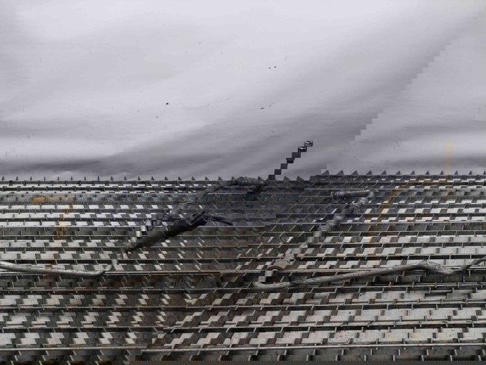 Conducta AC Ford Focus 2 (DA) [Fabr 2004-2012] OEM 1.6 TDCI DV6 1.6 TDCI  DV6 80KW / 109CP