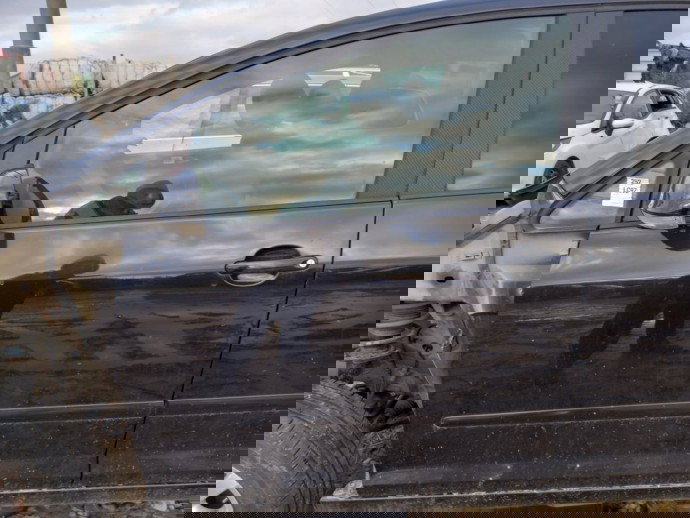 Usa stanga fata Volkswagen Golf 5 Plus  OEM 2005-2008