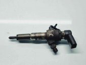 Injector Ford Fiesta 5 [Fabr 2001-2010] 9655304880 1.4 TDCI F6JA 50KW / 68CP  