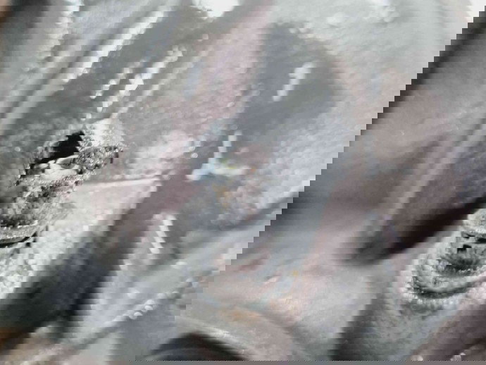 Grup diferential spate Mercedes Clasa E (W212) Facelift [Fabr 2009-2016] 2123502107 2.2 CDI 651924  2.2 CDI 651924 143KW / 194CP