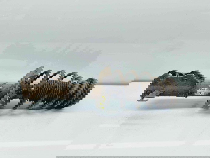 Amortizor dreapta fata Opel Insignia A Facelift [Fabr 2008-2016] 367327926 2.0 CDTI A20DTE   