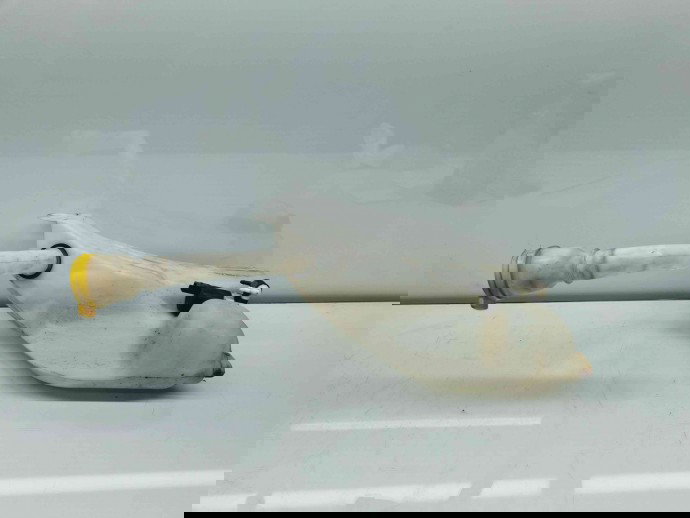  Vas lichid parbriz Renault Megane 3 Combi [Fabr 2008-2015] 289100014R