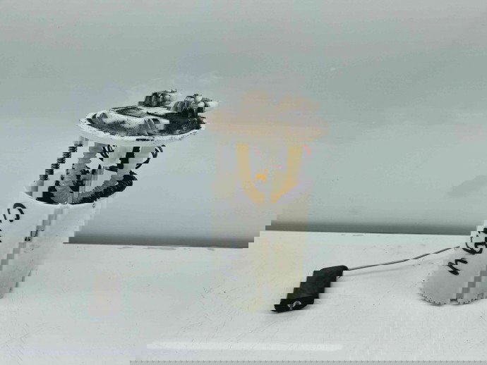 Pompa combustibil Renault Scenic 3 (J95) Facelift [Fabr 2009-2015] 172026141R 1.5 DCI K9K636 81KW / 110CP 1.5 DCI K9K636 81KW / 110CP