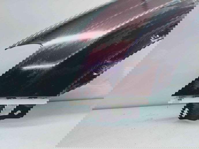 Aripa stanga fata Nissan Qashqai Facelift (2) [Fabr 2009-2013] GAB