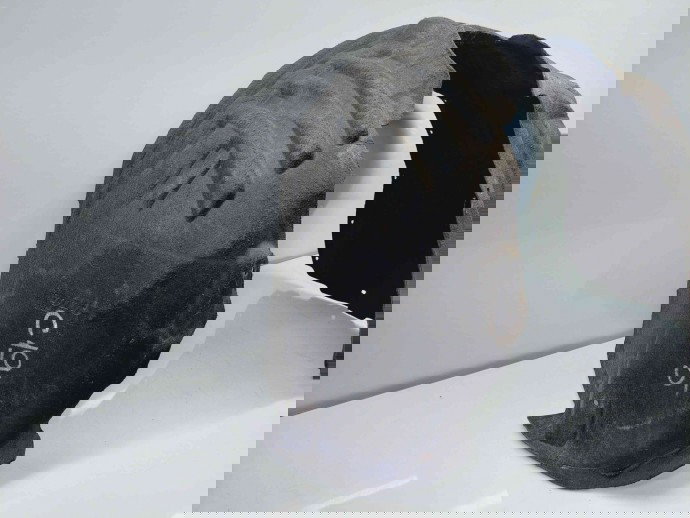 Carenaj roata stanga fata Volvo V40 Rdesign [Fabr 2013-2019] 31265973