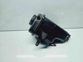 Vas expansiune Bmw X6 (E71, E72) [Fabr 2007-2014] 7552546