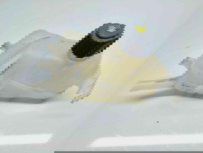 Vas expansiune Renault Scenic 3 (J95) Facelift [Fabr 2009-2015] 217100005R