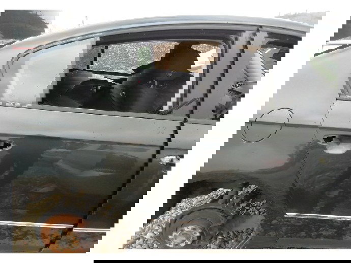 Usa dreapta spate Volkswagen Passat B6 2.0 BKP LC6S 2005-2010