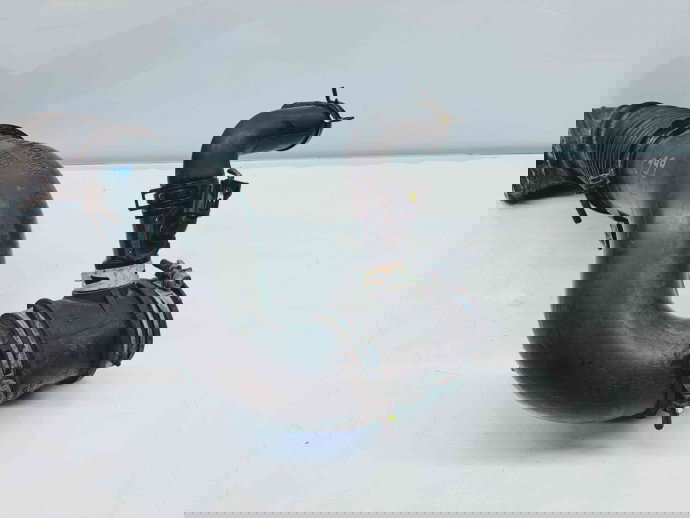 Tub intercooler MAZDA 3 Fastback [Fabr 2003-2009] SH0113231 2.2 Skyactiv 110KW / 150CP 2.2 Skyactiv 110KW / 150CP