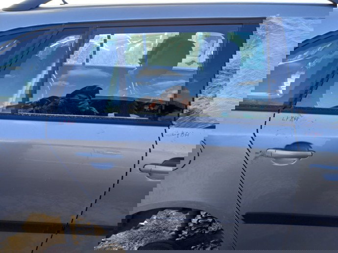 Usa dreapta spate Skoda Fabia 2  LF8H 2007-2014