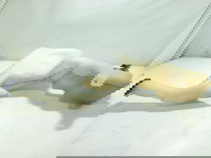 Vas lichid parbriz Ford Fiesta 6  OEM 2008-2021