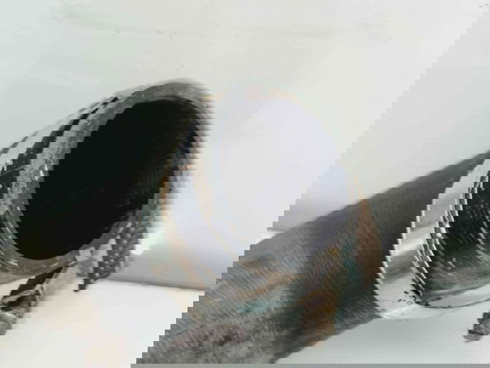 Tub intercooler Skoda Yeti (5L) [Fabr 2009-2020] 5N0145840G 2.0 TDI CFHA 81KW / 110CP 2.0 TDI CFHA 81KW / 110CP