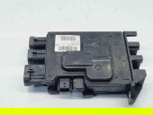  Panou sigurante Renault Scenic 3 (J95) Facelift [Fabr 2009-2015] 243800011R 