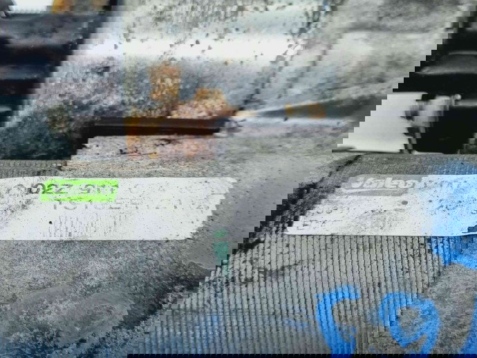  Electromotor 12 dinti Skoda Yeti (5L) [Fabr 2009-2020] 02Z911024K 2.0 TDI CFHA 81KW / 110CP  2.0 TDI CFHA81KW / 110CP