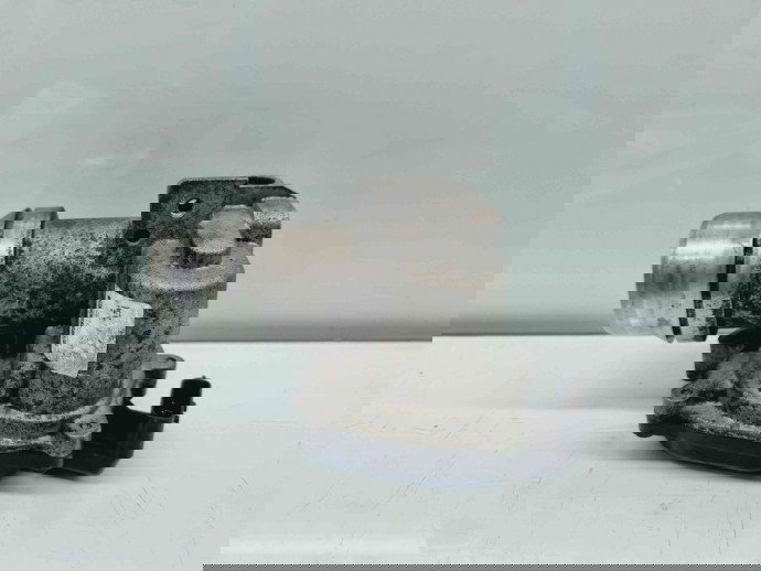 Clapeta acceleratie Nissan Qashqai Facelift (2) [Fabr 2009-2013] 8200614985 1.5 DCI K9K   