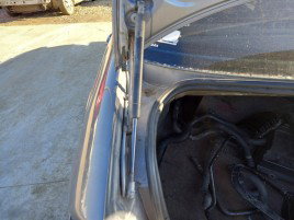 Amortizor portbagaj  BMW 320D E46 2.0 OEM 1998-2005