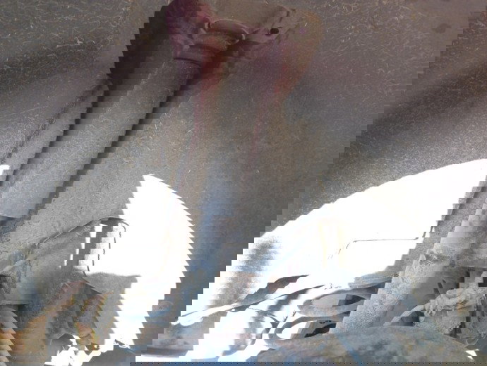 Amortizor dreapta spate Seat Leon 1.4 OEM 2005-2011