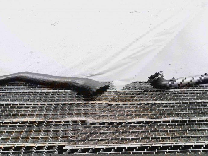 Furtun intercooler Ford Transit [Fabr 2006-2013] OEM 2.2 TDCI 96KW / 130CP 2.2 TDCI 96KW / 130CP