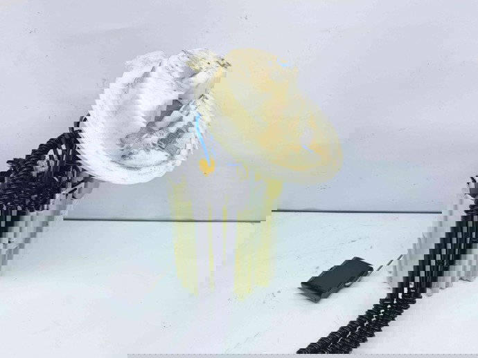 Pompa combustibil Mercedes Clasa C (W204) [Fabr 2007-2014] A2044702294 2.2 CDI 651911  