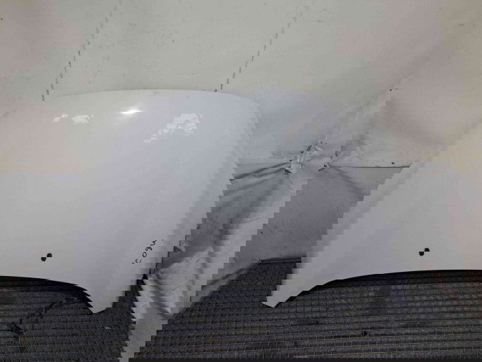 Capota Ford C-Max 2 [Fabr 2010-2015] Frozen White