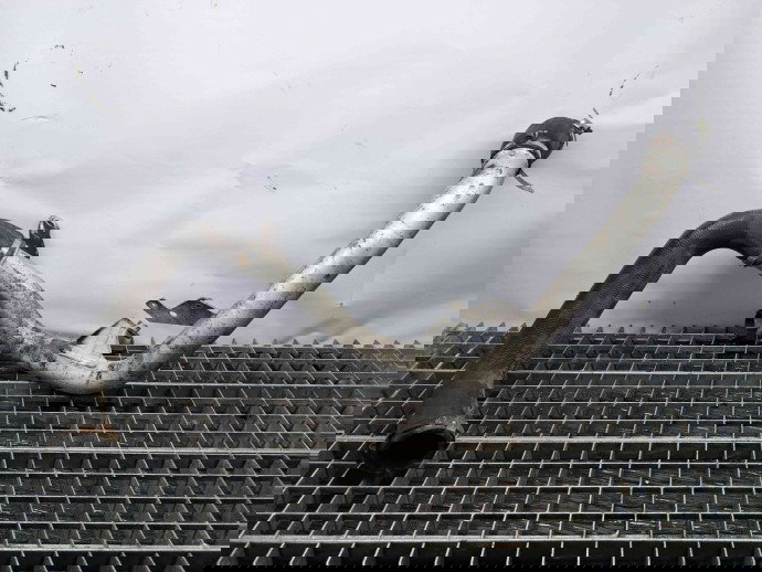 Conducta intercooler Volvo V40 [Fabr 2013-2019] 313380094 1.6 D162T  