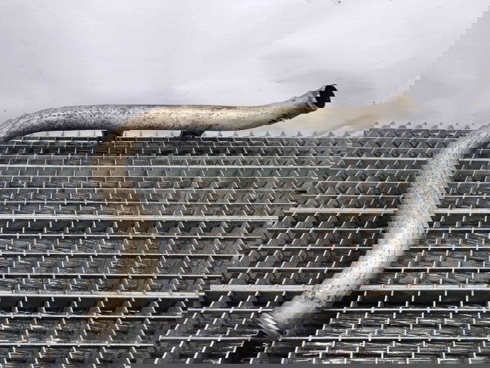 Conducta intercooler Kia Sportage III [Fabr 2010-2016] OEM 1.7 CRDI D4FD  