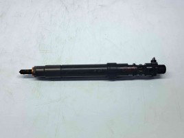 Injector Ford C-Max 2 [Fabr 2010-2015] 9686191080 2.0 TDCI C20DD0  