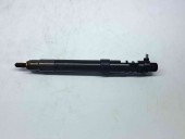 Injector Ford C-Max 2 [Fabr 2010-2015] 9686191080 2.0 TDCI C20DD0  