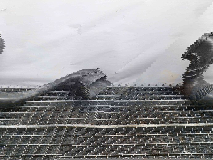 Tub admisie aer Dacia Sandero 2 [Fabr 2012-prezent] 165556691R