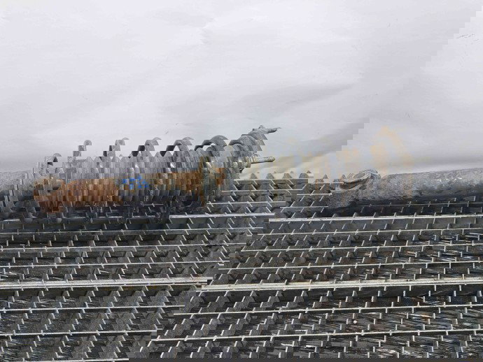 Amortizor stanga fata Citroen C5 (III) [Fabr 2008-2017] OEM 1.6 DV6TED4 1.6 DV6TED4 80KW / 110CP