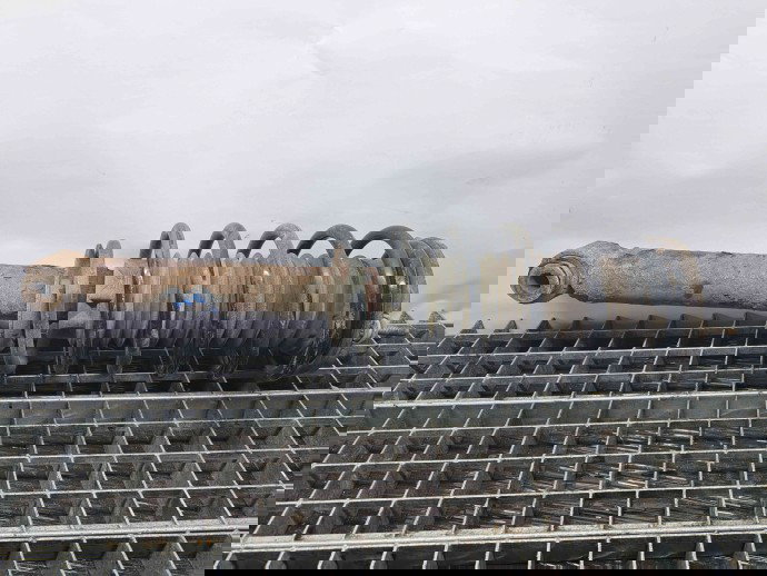 Amortizor dreapta fata Citroen C5 (III) [Fabr 2008-2017] OEM 1.6 DV6TED4 1.6 DV6TED4 80KW / 110CP