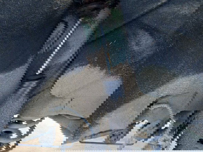 Amortizor stanga spate Skoda Octavia 2 2.0 TDI OEM 2004-2013