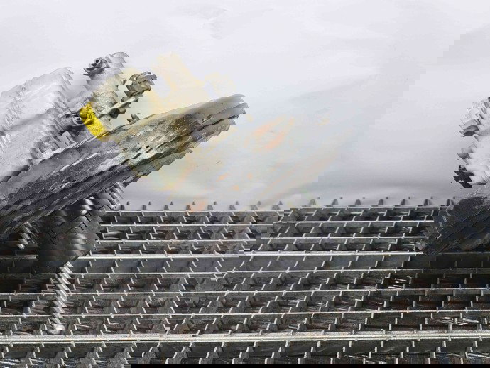 Tulumba frana Volkswagen Polo (6R) [Fabr 2009-2016] 6R1614105G 1.2 TDI CFWA  