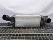 Radiator intercooler Citroen C5 (III) [Fabr 2008-2017] 96599 1.6 DV6TED4 1.6 DV6TED4 80KW / 110CP
