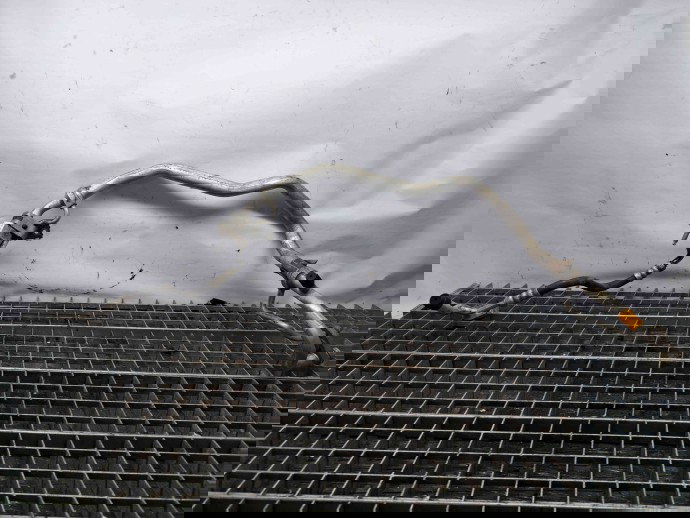 Conducta AC Ford Focus 3 Facelift [Fabr 2014-2019] F1F1-19A834-MB 1.0 C10FD0X  