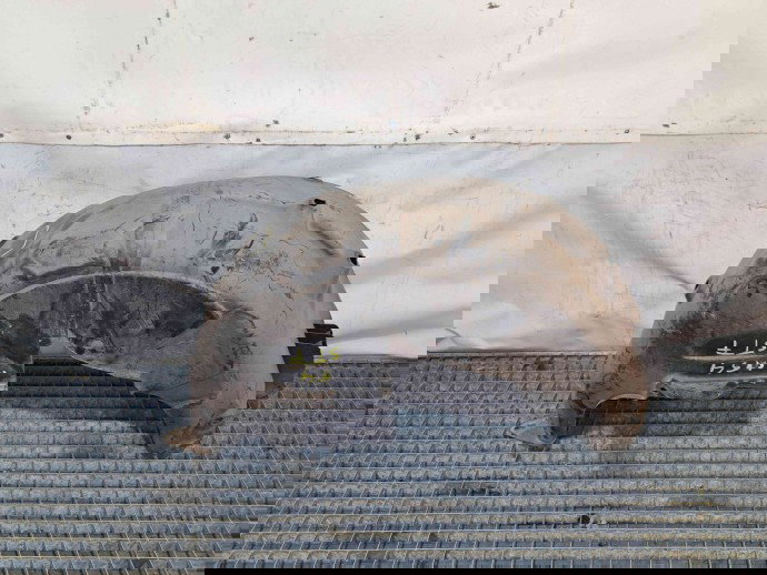 Carenaj roata stanga fata Hyundai Santa Fe 2 (CM) [Fabr 2005-2012] 86835-2B000