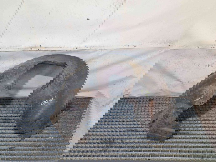 Carenaj roata dreapta fata Ford Focus 3 Facelift [Fabr 2014-2019] AM51-R16114-BF