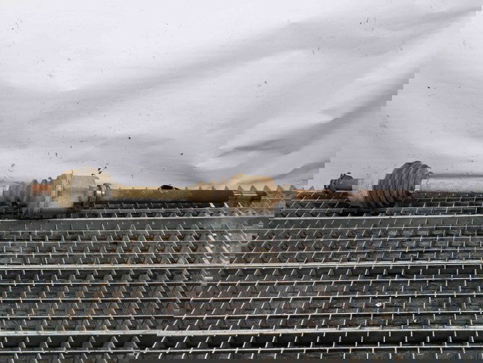 Planetara dreapta fata Citroen C4 (I) Picasso [ Fabr 2006-2013] OEM 2.0 RHJ 100KW / 136CP  