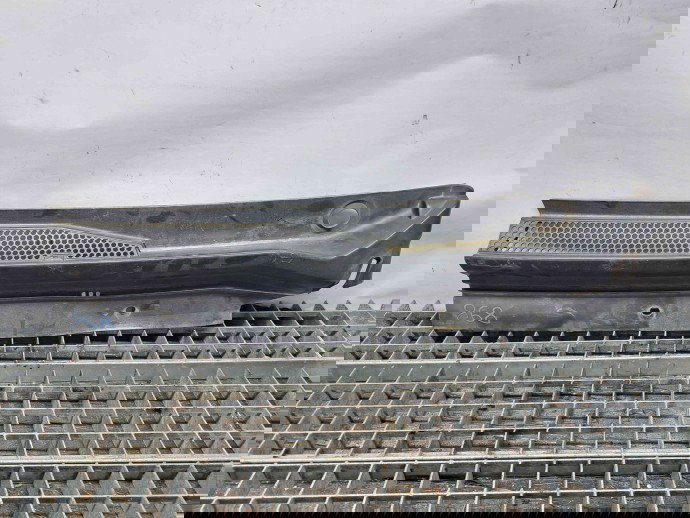  Grila stergator parbriz-stanga Citroen C4 (I) Picasso [ Fabr 2006-2013] 9687793577