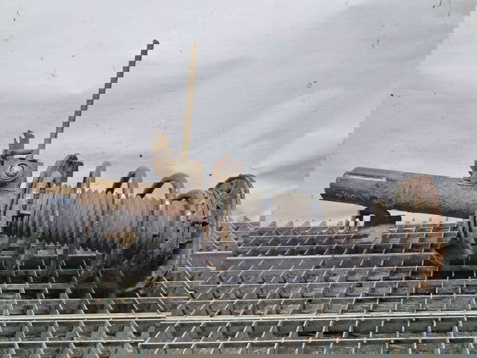 Amortizor stanga fata Ford Mondeo 4 [Fabr 2007-2015] OEM 2.0 TDCI 2.0 TDCI 110KW / 150CP