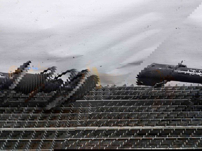 Amortizor stanga fata Dacia Logan MCV 2 [Fabr 2013-prezent] OEM 1.5 DCI K9K612 1.5 DCI K9K612 55KW / 75CP